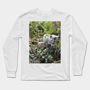 Little cat Susi in the garden Long Sleeve T-Shirt